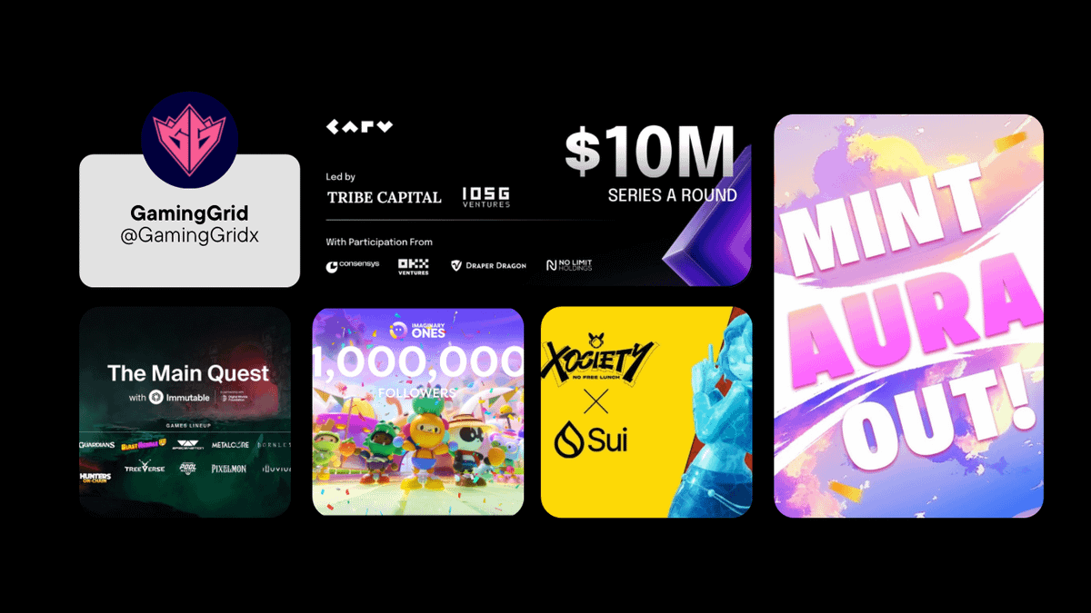 yellowpanther 黄豹 💎 tweet media