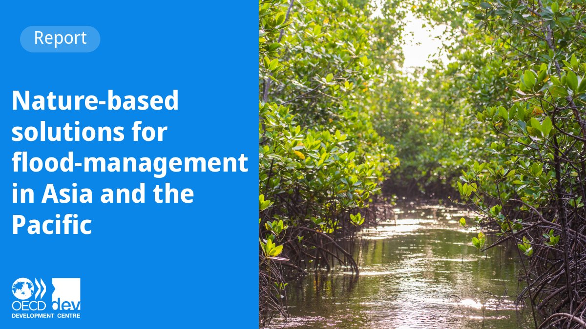 In Asia and the Pacific, nature-based solutions (NbS) to flood risk are critical in the face of climate change. NbS interventions include restoring mangroves, reviving old river channels and increasing urban forests. 🌳 Read more ➡️ brnw.ch/nbsolutions