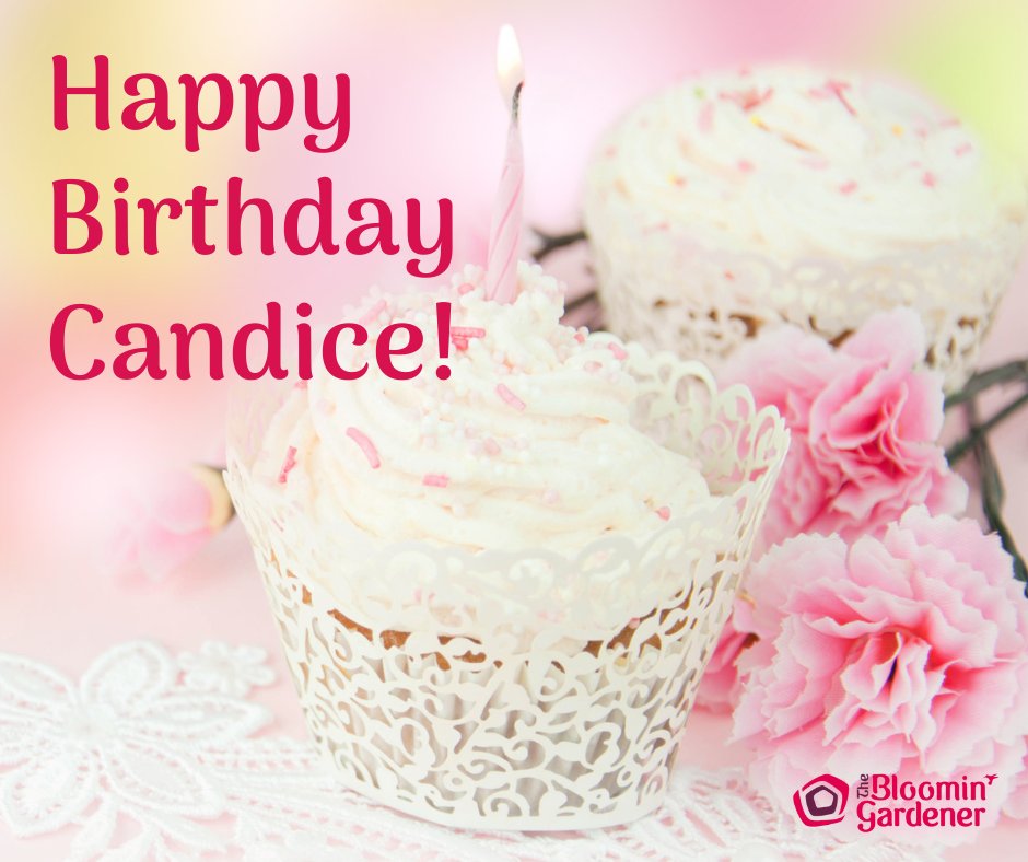 We would like to wish Candice the happiest of birthdays today! 🎂 We hope your day is amazing!

From everyone here at The Bloomin' Gardener.

#thebloomingardener #happybirthday #enjoyyourday #haveahappyday #itsyourbirthday #localgreenhouse #spring2024