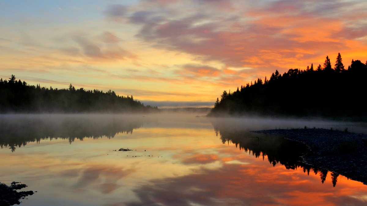 Looking for your next adventure? 🚣‍♂️ Explore the pristine beauty of Maine's Allagash Wilderness Waterway with Sierra Club Outings! Paddle through serene waters, surrounded by lush forests and stunning wildlife. Book your spot now at the 🔗 bit.ly/3JUyWyM