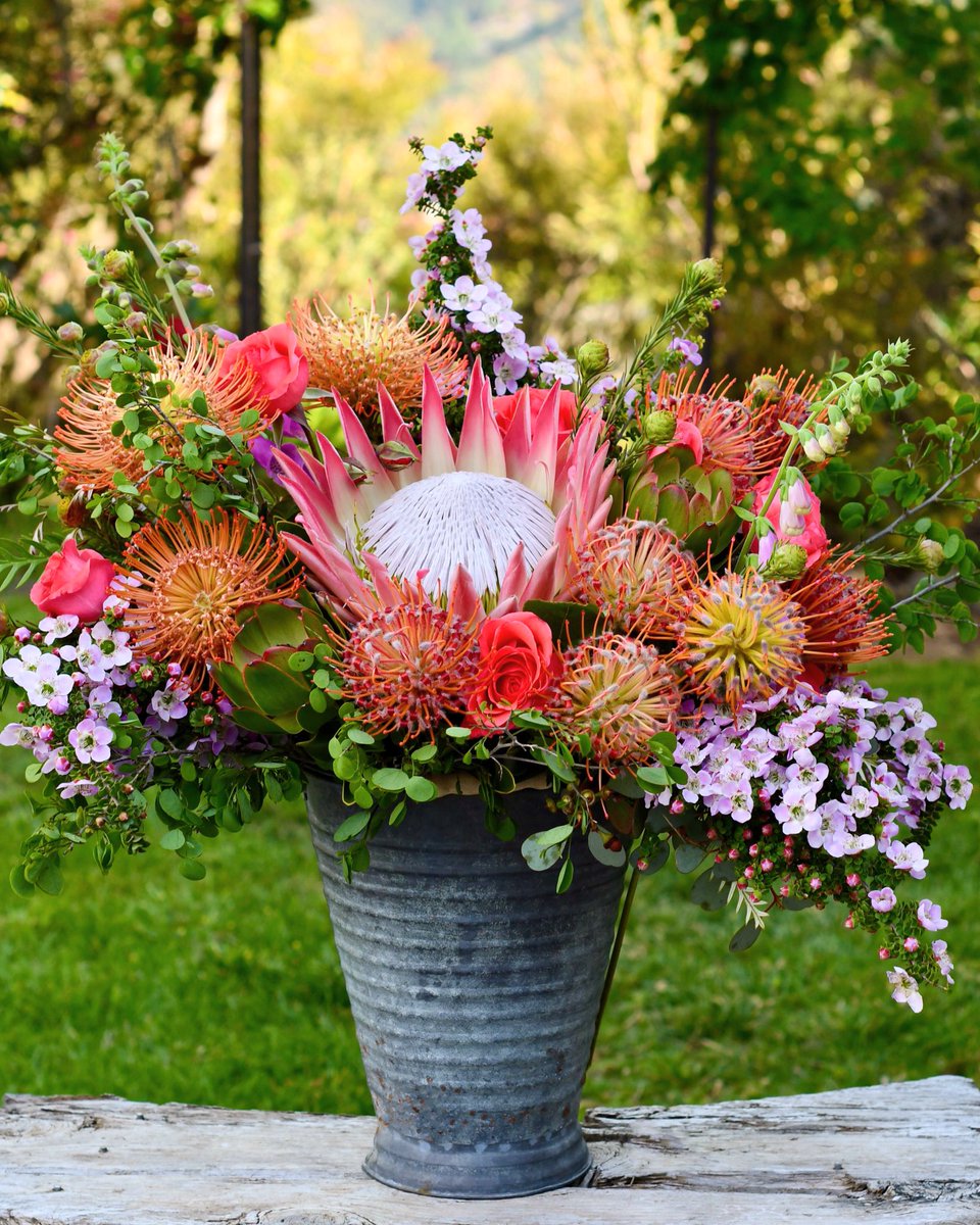 Happy Friday! Hope you embrace everything this glorious season has to offer. 🍃🌸👑💥🌿 #fridayfeeling #mothersdayready #inspiredbynature #protea #savoringtheseason #cagrown