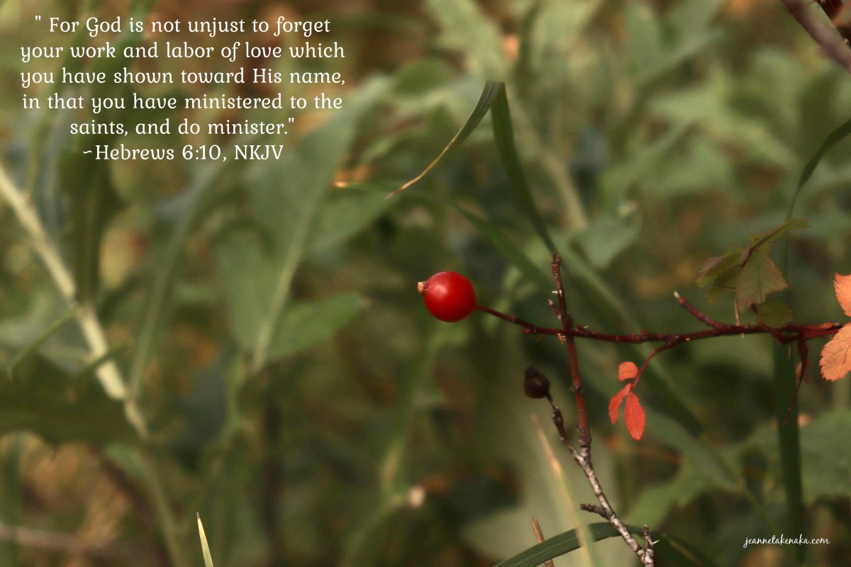 JeanneTakenaka's tweet image. "For God is not unjust to forget your work and labor of love which you have shown toward His name, in that you have ministered to the saints, and do minister."

~Hebrews 6:10

#godsword #godsees