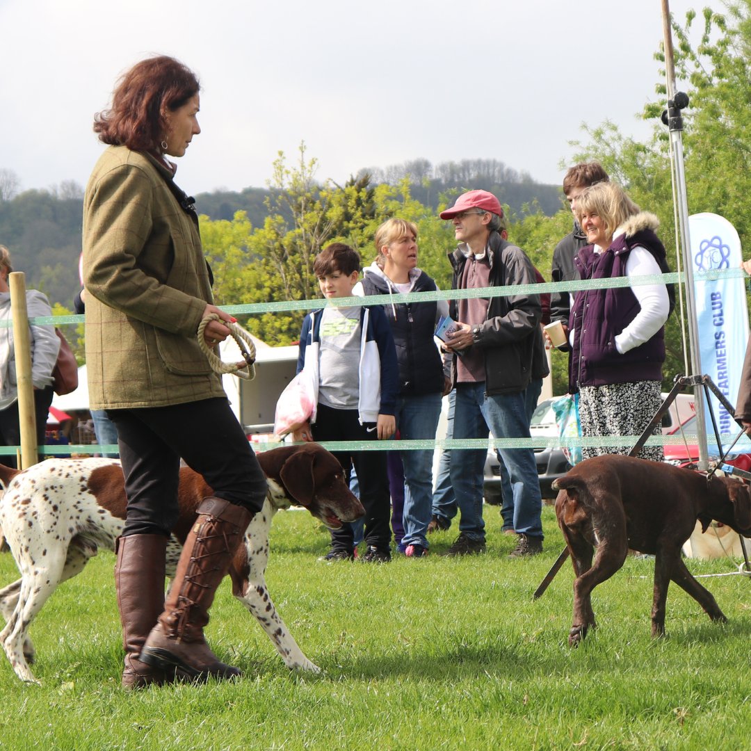 📣 With less than 24 hours to go until our Open Day and Spring Fair make sure to buy your tickets today! Here is just some of what you can expect: 🐶Dog shows 🐐Feed the animals 🍭Funfair 🎠Carousel.... AND SO MUCH MORE! Get your tickets today: eu1.hubs.ly/H091YZW0 #OpenDay