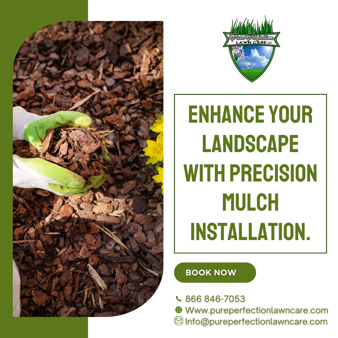Contact us to schedule your installation! 🌿 Let's add that finishing touch to make your landscape shine!

🌐 pureperfectionlawncare.com
📞 866 846-7053
📧 Info@pureperfectionlawncare.com

#PurePerfectionLawnCare #lawncare #landscaping #lawn #lawnmaintenance #landscape #grass
