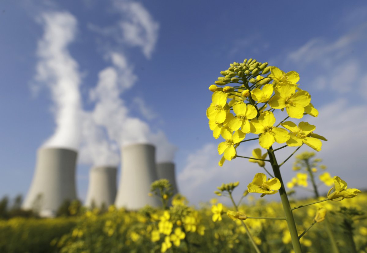 TradwifeOrigina's tweet photo. The German Green Party (#Grünen) cheated in the evaluation of the German nuclear power plants: they deceived by adjusting official reports, official media report. Manipulating data is a serious matter of misleading the public and likely even fraud.
#PublicDeception
#GreenLies https://t.co/YsyuSnkvKs