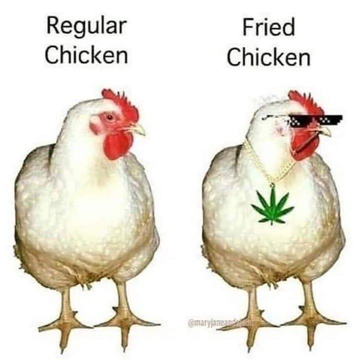 Happy Fryday! What kind of chicken are you? #LegalWeed4SC #LegalizeIt