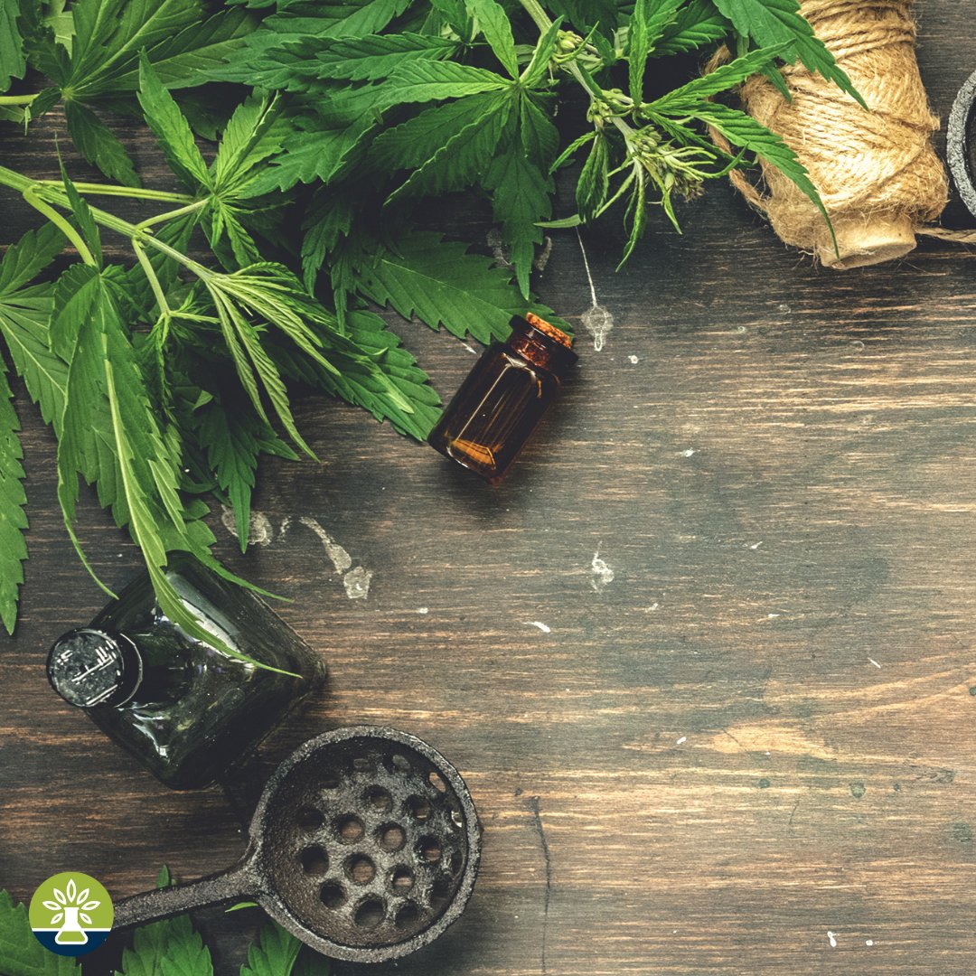 MoCann Testing (@mocanntesting) on Twitter photo Nature's Alchemy: Crafting Wellness from Cannabis Leaves
#MCT #MoCannTesting #MoCann Nature's Alchemy: Crafting Wellness from Cannabis Leaves
#MCT #MoCannTesting #MoCann