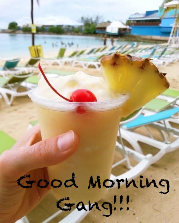 Good Morning Boys and Girls it’s Friday and it’s 5 o’clock somewhere!!!🏝️👣🧉🏴‍☠️ #sandytoesnation #noshoesnation #margaritaville