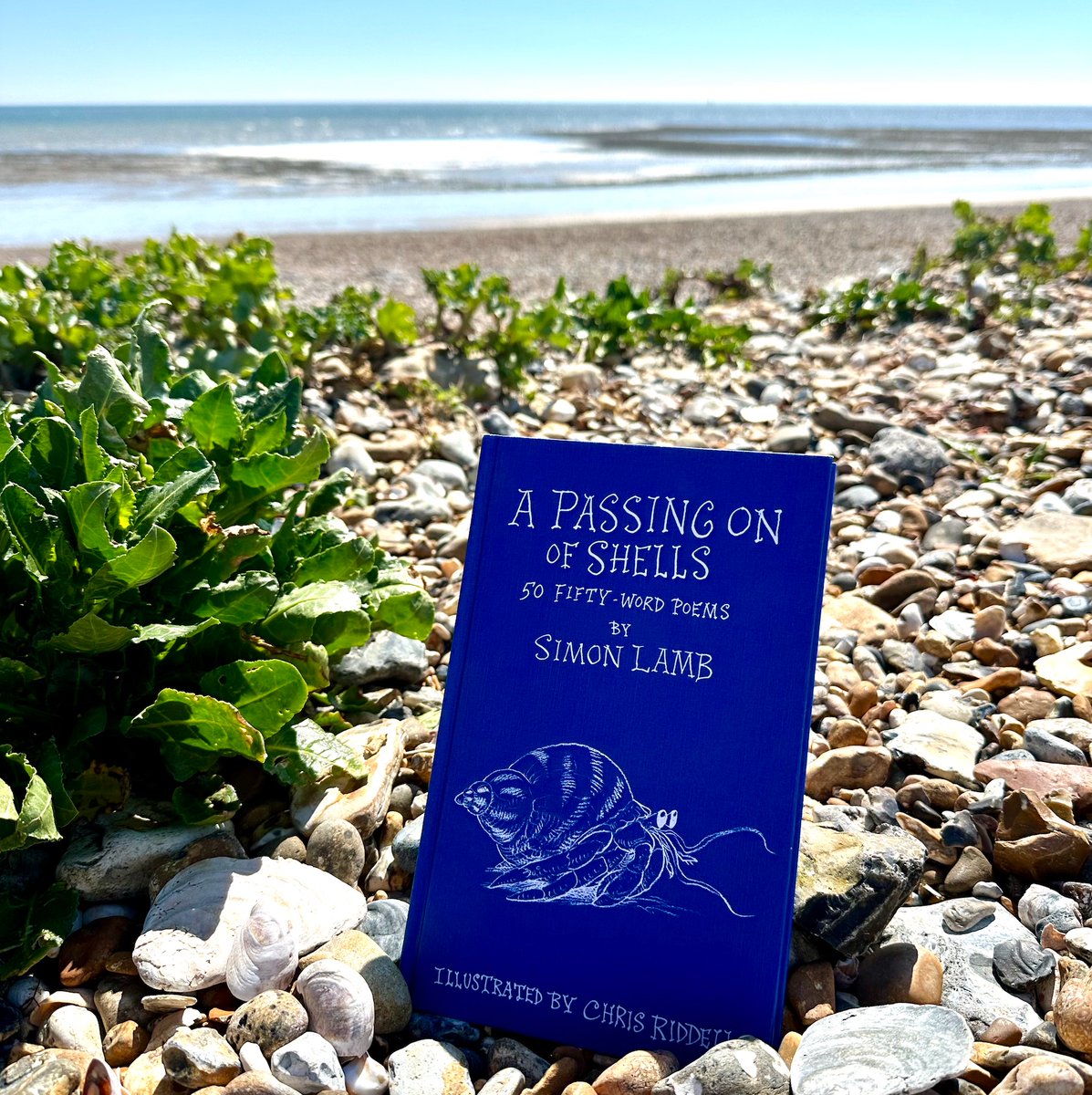 The sun is shining! ☀️ Who's heading to the beach this weekend?! We recommend finding a warm spot, and settling down with #APassingOnOfShells by @approx21words, illus. by @chrisriddell50 👇🐚 @bouncemarketing #kidsbooks #poetry #poetrylovers