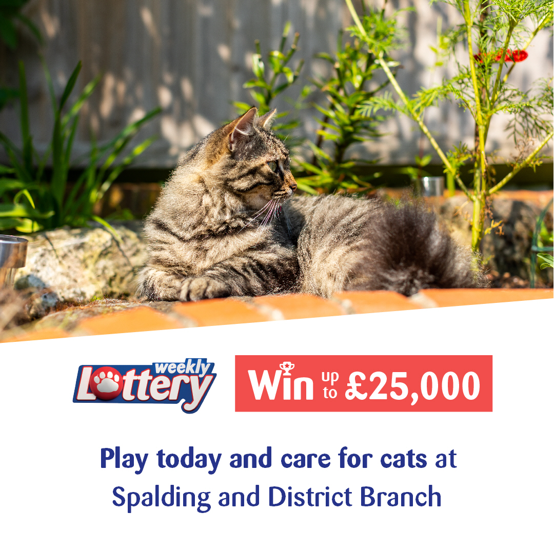 Would you like to win up to £1,000 a week or £25,000 every three months? (I certainly wouldn't say no to 25k!) Well you can as well as helping our branch. All you need to do is click this link and select our branch: winwithcats.cats.org.uk/lottery-play/s… #CPWeeklyLottery #WhiskersWednesday