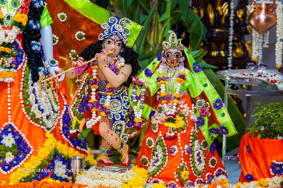 VCMVrindavan's tweet photo. Today's special chandan alankara darshan of Sri Radha Vrindavanchandra and Sri Gaura Nitai on the occasion of Akshaya Tritiya

#vcm #tallesttempleinvrindavan #vrindavanchandrodayamandir #krishna #radha #gauranitai #akshayatritiya #darshan #devotion #devotees #pushpa #alankara https://t.co/5mI5Ki9tmT