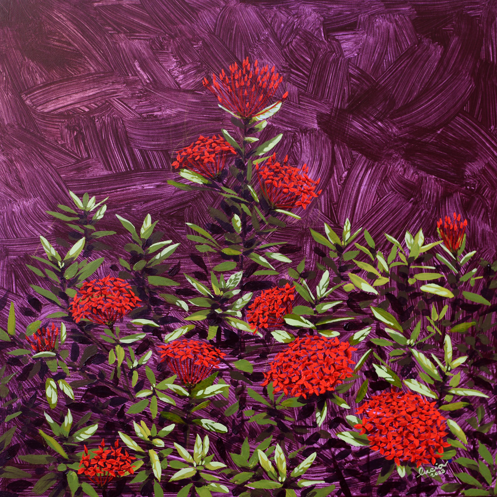 lucia asul 𓁿 tweet media