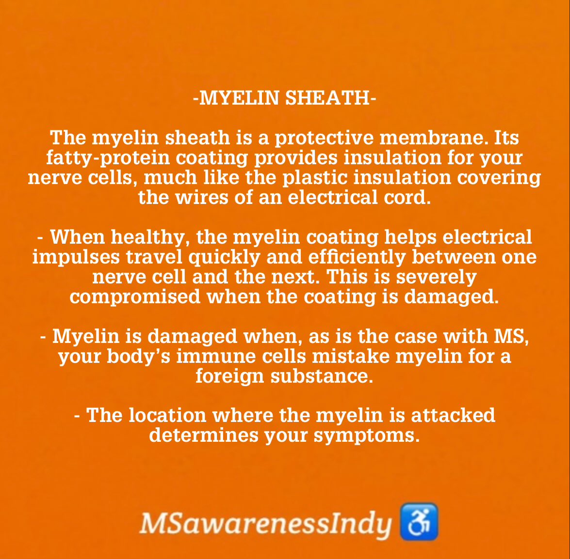 Chronic Illness #TermOfTheDay 

-MYELIN SHEATH-