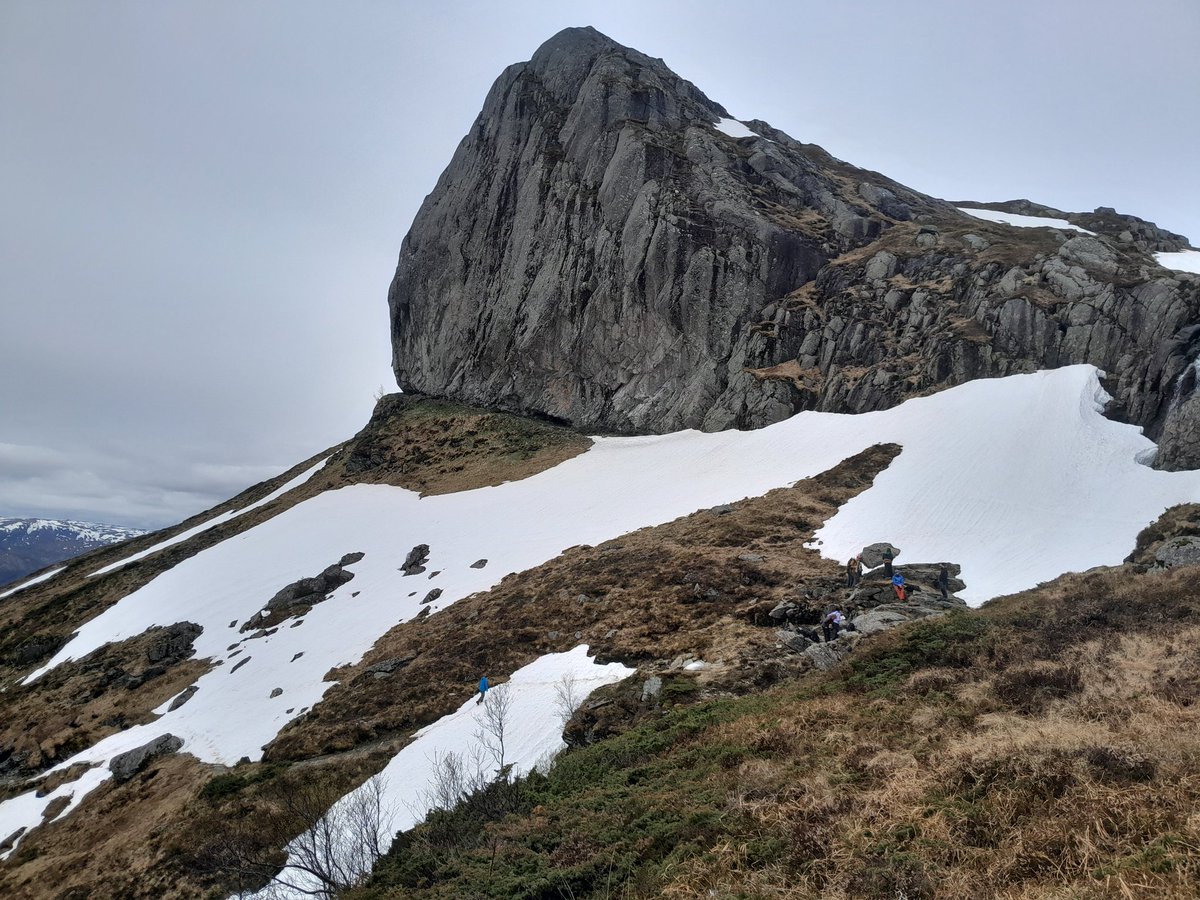 Sascha Zertani tweet media