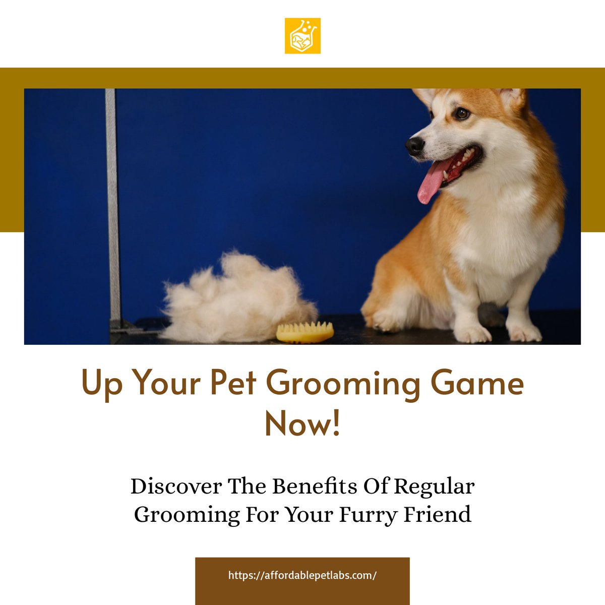 🐾 'Did you know? Regular grooming not only keeps your pet looking great but also helps you spot any unusual signs like bumps or lumps early. Brush up on grooming! 🖌️🛁 #PetGrooming #HealthCheck @AffordablePetLabs'