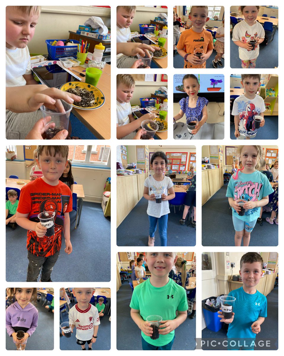 #Year2 #Carnelian have enjoyed following instructions to plant their own flower #Science