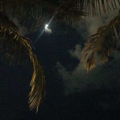 Lulii_63's tweet photo. #NewProfilePic https://t.co/q8NQCLKNXr