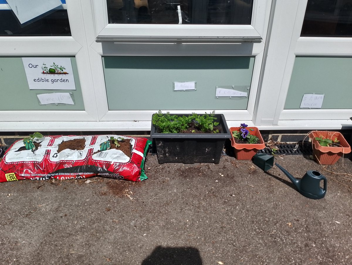 Thank you to @SoilAssociation for helping us @BlighPrimary @MaritimeMAT with our edible gardens.