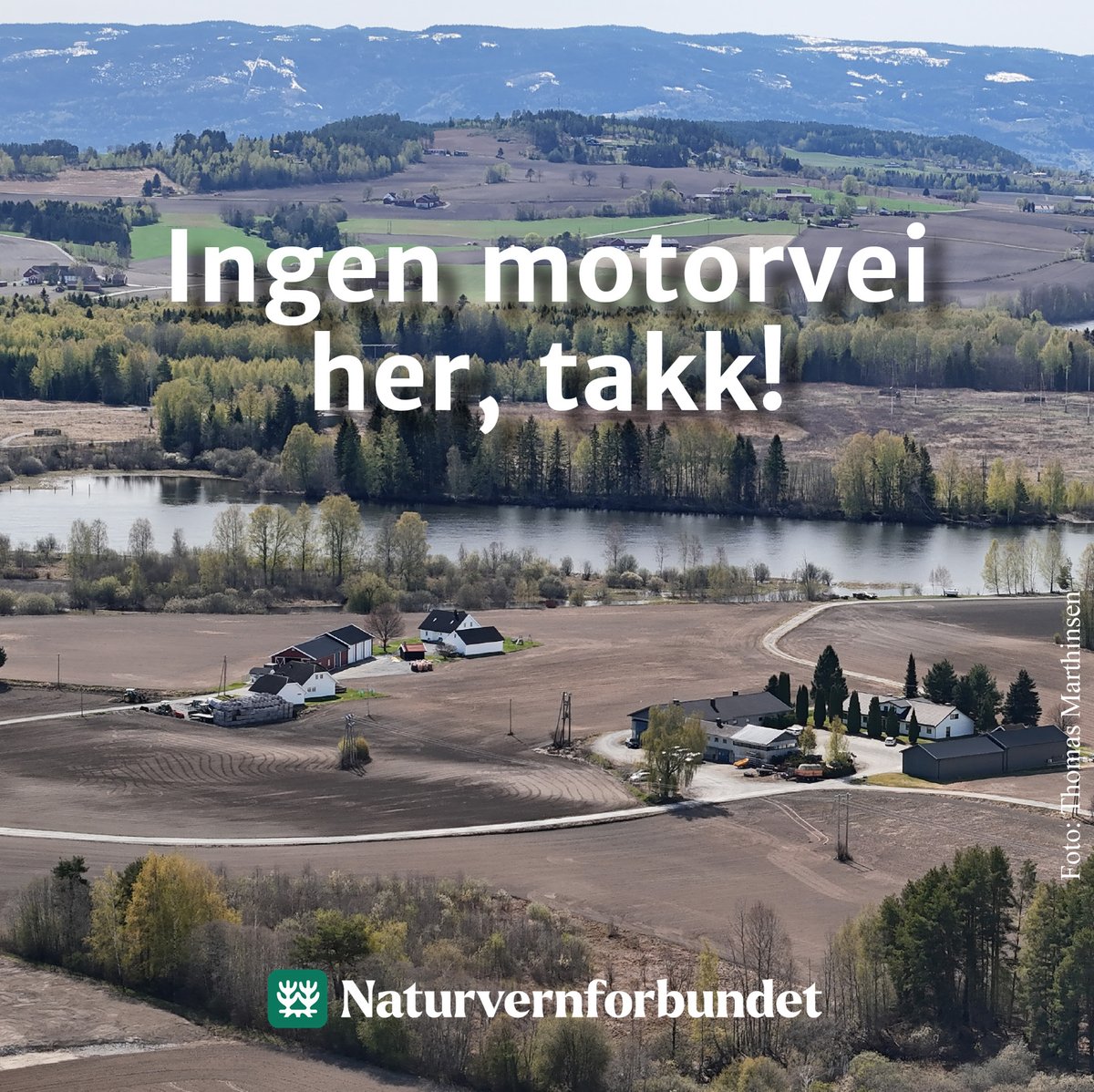 Er det ingen grenser for rasering av natur? Det er nå planer om å bygge en firefelts motorvei rett gjennom Nordre Tyrifjorden naturreservat. Stortinget har nå en mulighet til å si nei til byggingen av E16 på Ringerike. Bruk den! #naturvern