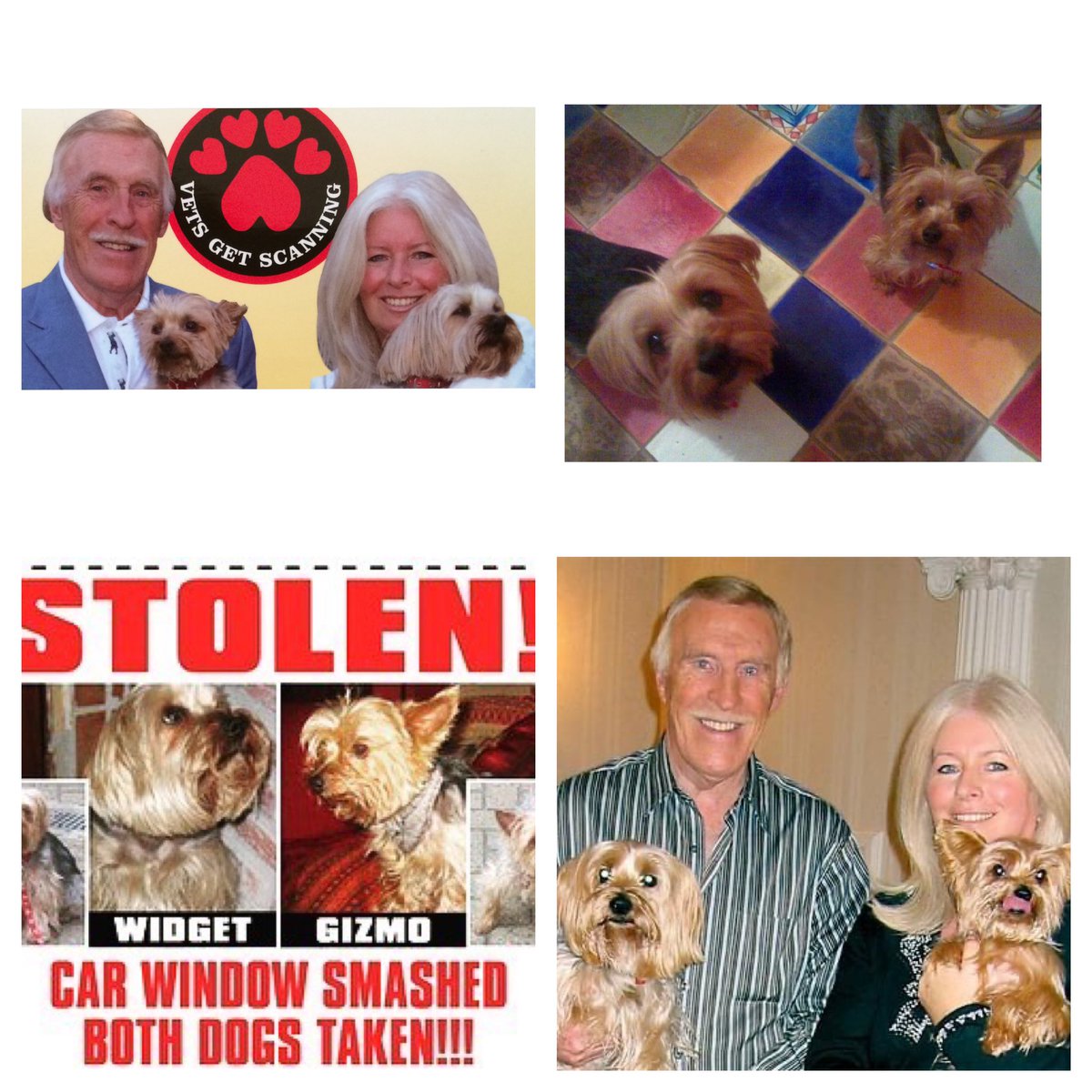 @SAMPAuk_ @UKHouseofLords @Anna_Firth @Dr_Dan_1 @theFOALGroup @pettheftaware @CatsProtection @DogLost_UK @MissingPetsGB @Find_Roxy @HunnyJax @rosieDoc2 @WaterhousePat @millypod1 @CatsMissing @sar_dogs @findmurphyhusky Congratulations to all 🐾❤️🐾🙏🏻 18 years ago I was reunited with my #Dogs thanks to my dad! Who would have thought a #petabduction law would come before making it compulsory to check microchip registration at veterinary first treatment 2 reunite pets 😢 #MakeChipsCount #FernsLaw