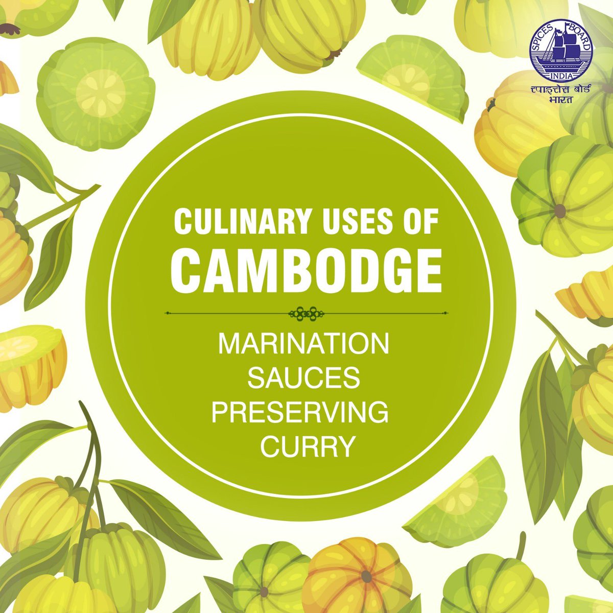Cambodge isn't just a spice, it's a culinary powerhouse! this versatile ingredient adds a tangy twist to your favorite dishes! @doc_goi #spicesboard #Cambodge #incrediblespicesofindia