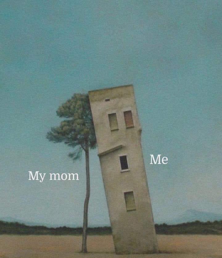 Ojalá en todos los universos, en todas las vidas seas mi mamá 🤍
#DiaDeLasMadres