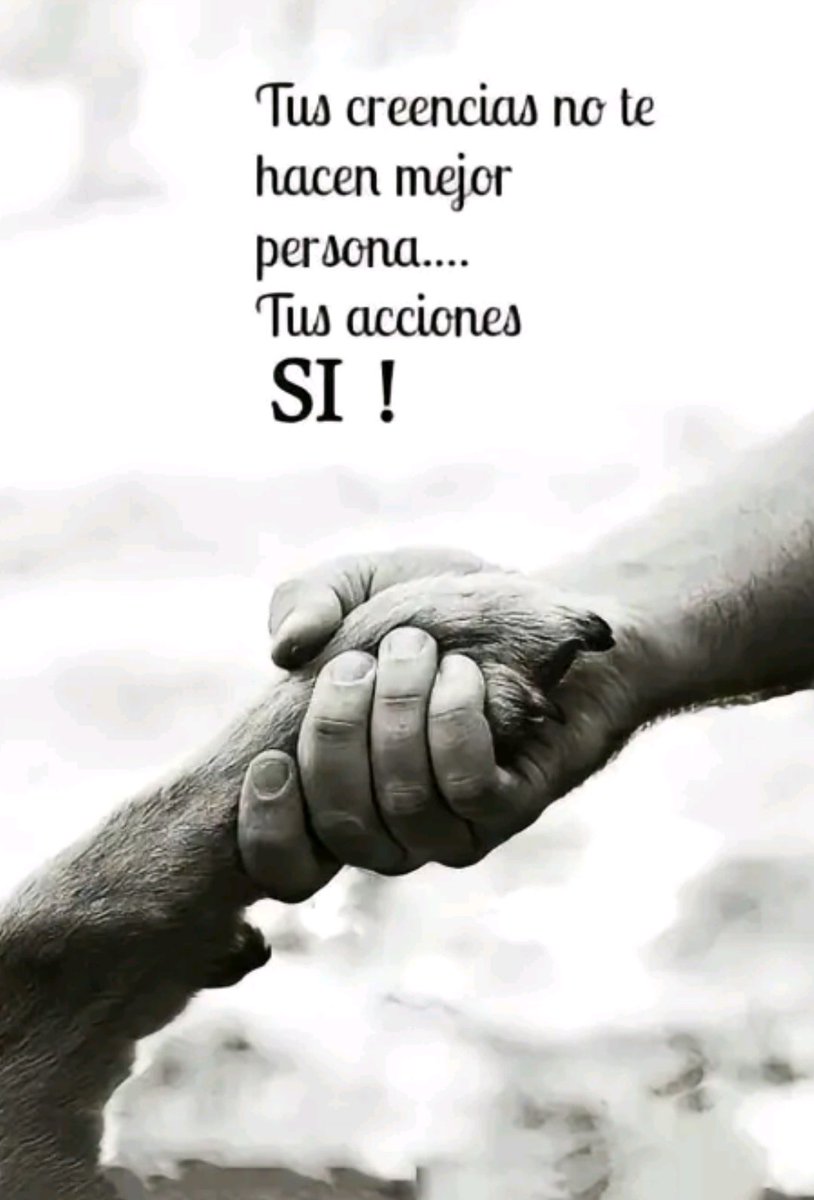 Si quieres tener valor real, se una persona de hechos concretos, lleva tus dichos a la realidad y deja que sean tus actos los que hablen de ti. Que tengas un maravilloso día!!