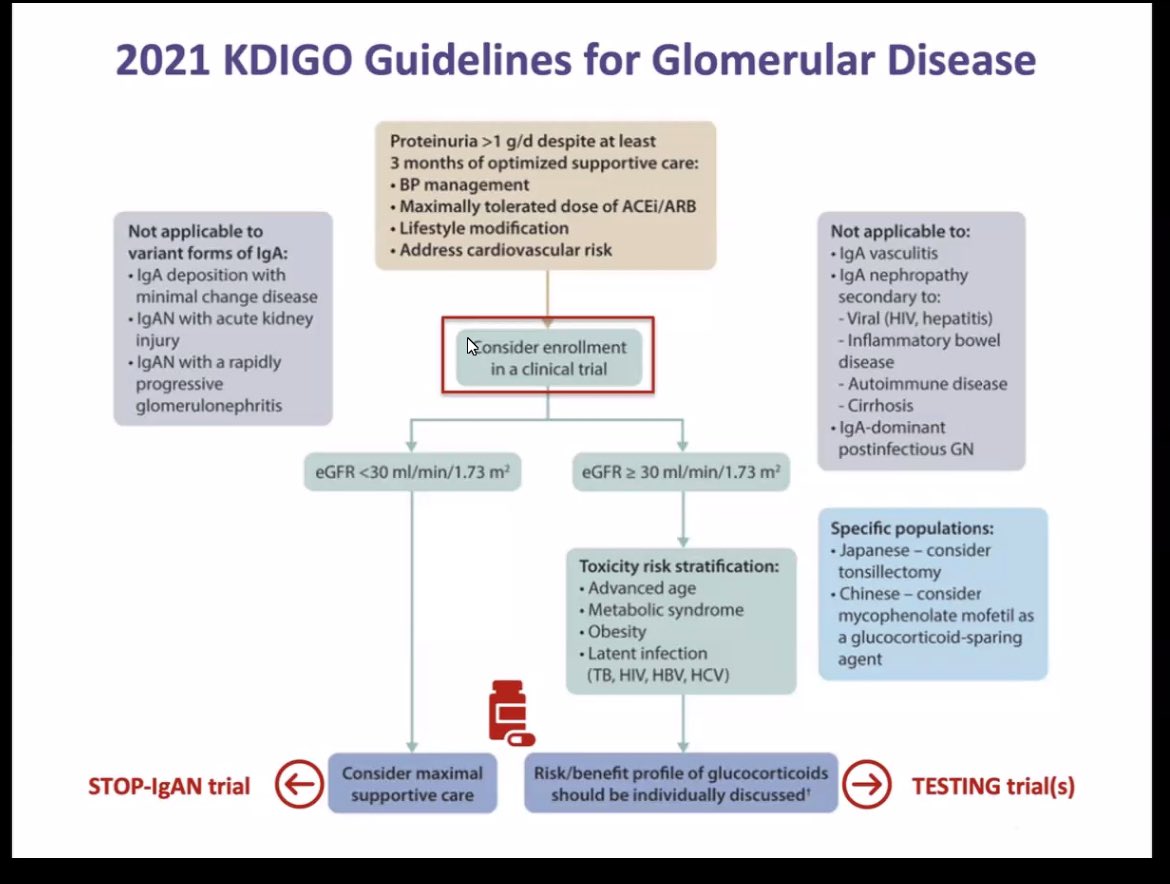 🫘✅IgA Nephropathy Management 😎Assess the risk of progression by IgA international Risk prediction tool 🤩Look at MEST C score 👍If more of M/E- Immunosupression might benefit @ISGDtweets @isn_india @kdjhaveri @drshyambansal Dr Shikha