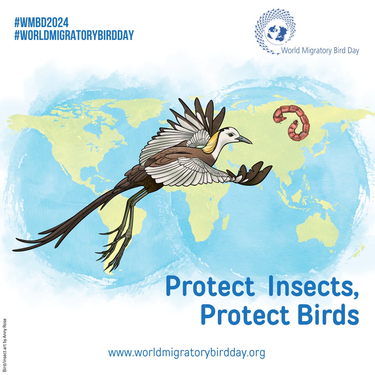 Today is #WorldMigratoryBirdDay ! 

Migratory bird species depend on insects during migration and at other stages of their life cycles when feeding their offspring 
Insects influence the timing, duration, & success of bird migrations. 

#ProtectInsectsProtectBirds
#WMBD2024