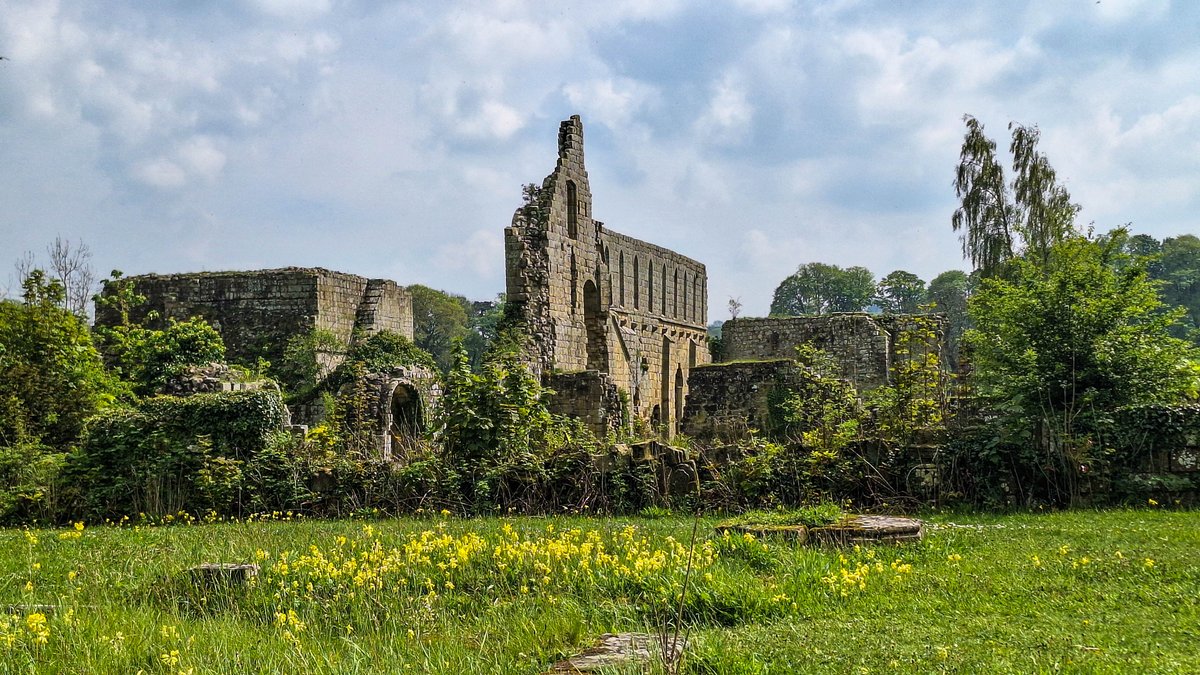 Welcome to the new week! 📸 Sunshine at Jervaulx Abbey, by John Carter, of Stockton