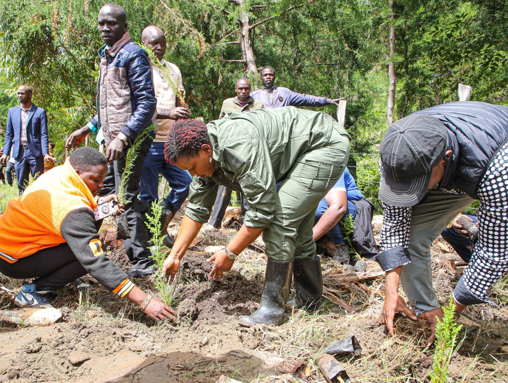 𝐂𝐒 𝐇𝐞𝐚𝐥𝐭𝐡 𝐋𝐞𝐚𝐝𝐬 𝐍𝐚𝐭𝐢𝐨𝐧𝐚𝐥 𝐓𝐫𝐞𝐞 𝐏𝐥𝐚𝐧𝐭𝐢𝐧𝐠 𝐈𝐧𝐢𝐭𝐢𝐚𝐭𝐢𝐯𝐞 𝐢𝐧 𝐏𝐨𝐤𝐨𝐭 𝐒𝐨𝐮𝐭𝐡 𝐒𝐮𝐛 𝐂𝐨𝐮𝐧𝐭𝐲 Cabinet Secretary for Health, Hon. Nakhumicha S. Wafula, led a national tree planting initiative at Chepkalit Secondary School in Lelan…