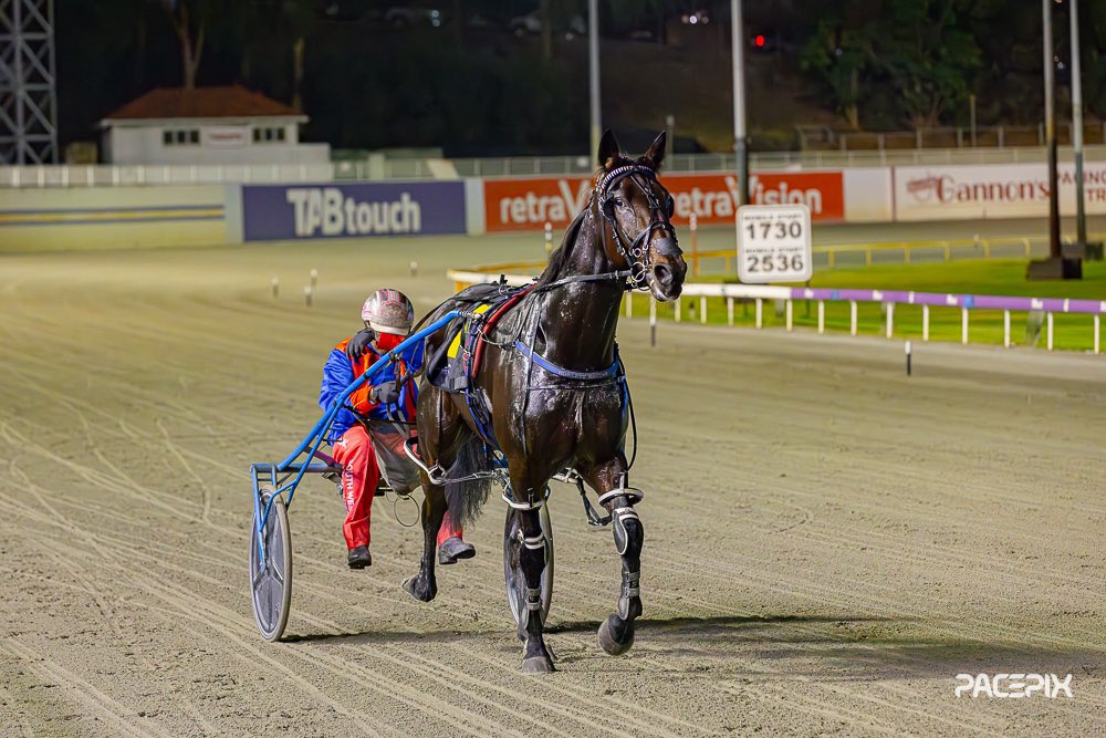 The Howletts are cleaning up tonight with Storm The Beaxh taking out the Nova 937 Pace for Katie Howlett… #GloucesterPark | 📸: @Pacepix_Au