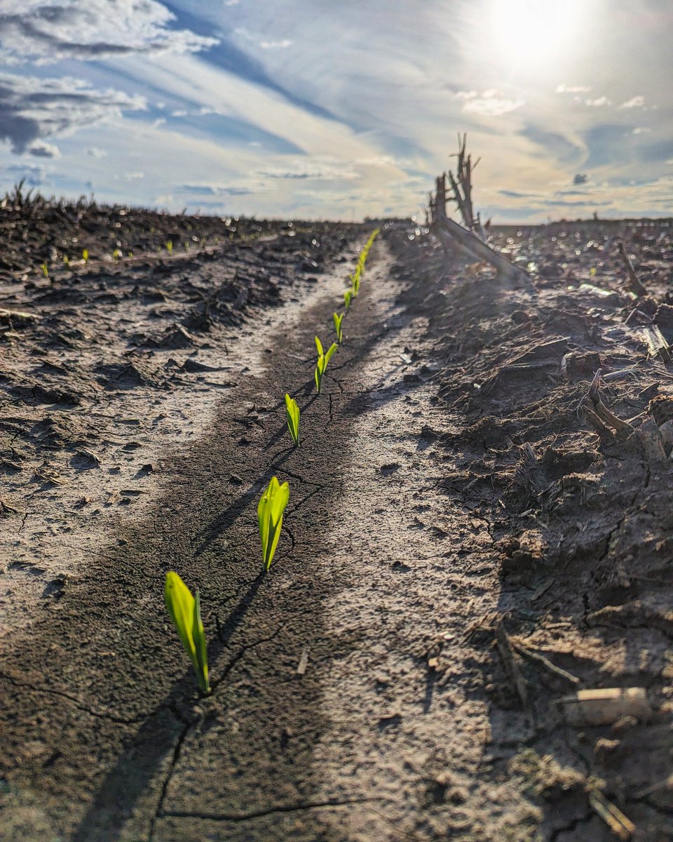 Hope everyone has a great growing season this year!