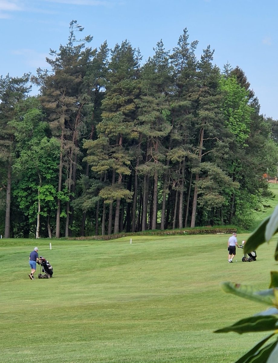 😎This is not the Algarve!! 
This is our beautiful Ballochmyle Golf Course today at Ballochmyle Estate.
#milestonedevelopments #ballochmyle #golf #luxuryhomes #luxurylifestyle