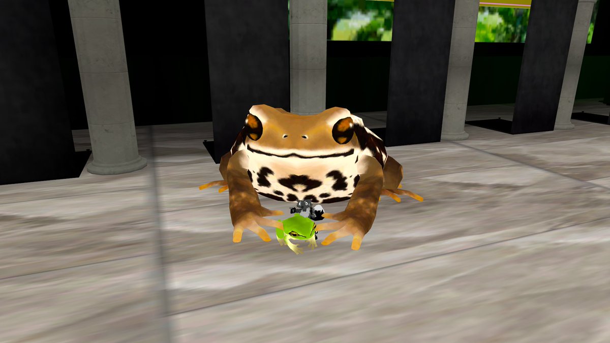 Bird's Frog adventure (Featuring @/windu_utom) #VirtualFrogMuseum