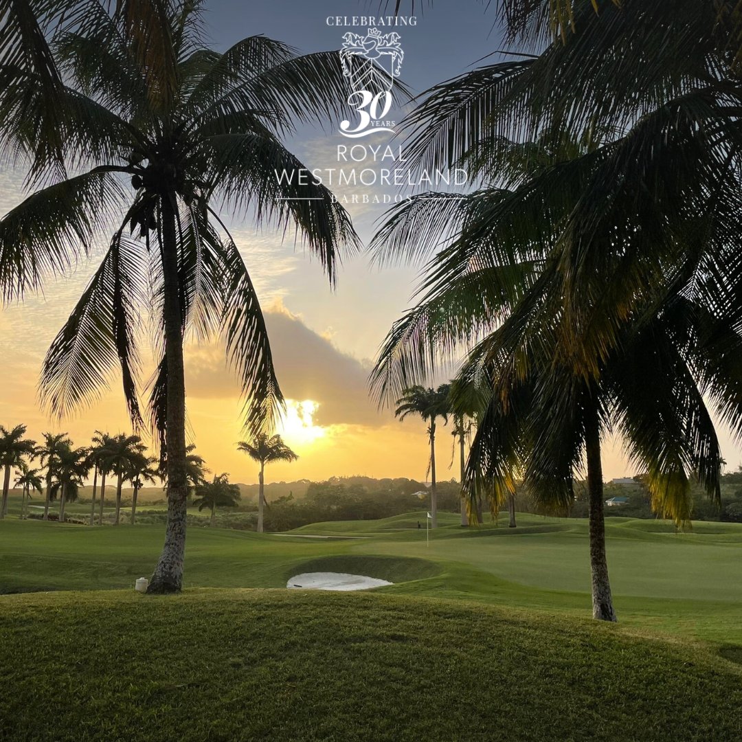 Royal Westmoreland tweet media