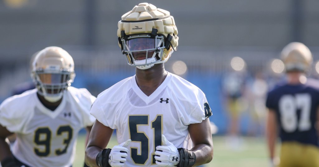 Two Notre Dame defensive linemen, Boubacar Traore and Armel Mukam, have changed numbers ahead of their sophomore seasons. @jacksoble56 has more in today's newsstand. on3.com/teams/notre-da…