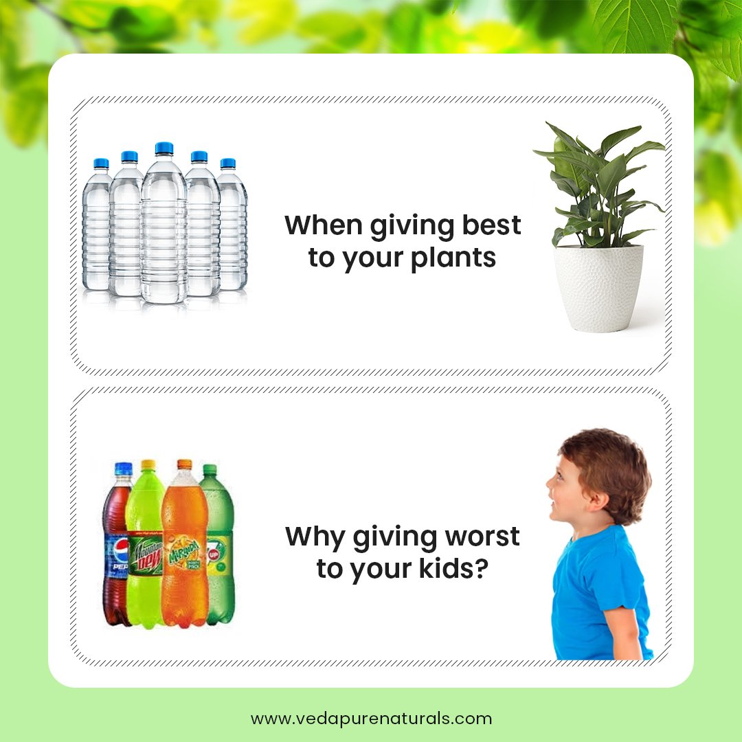 vedapure_n's tweet image. Eat Healthy Stay Healthy and Live Happily

#grassmemes #funposts #justforfun #dailymemes #funnymemes