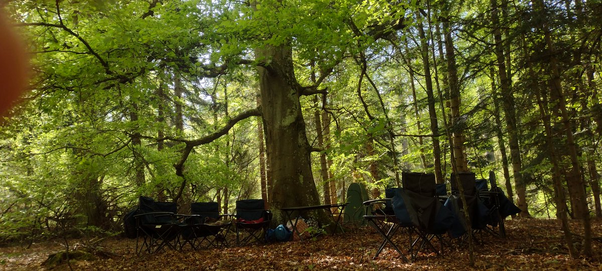 Wild things! tweet media