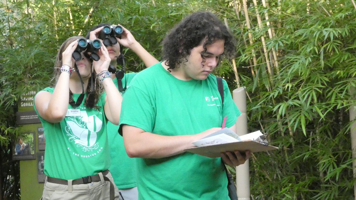Spend the day with us tomorrow as we celebrate #WorldMigratoryBirdDay with our Zoo Crew teens! Stop by Texas Wetlands from 10am to 2:30pm to learn how you can save wild birds. This event is included with general admission and is free for members: bit.ly/4bzM0VJ