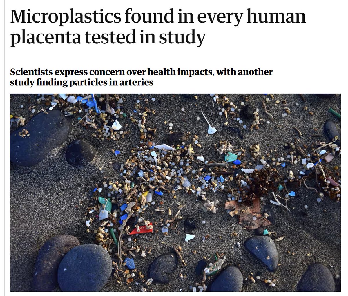 There are micro-plastics in HUMAN PLACENTAS, but if anyone tries to do something about it, Canadian Conservative MPs will mount a campaign against 'woke paper lids' because they are a front for the oil industry. @Lianne_Rood