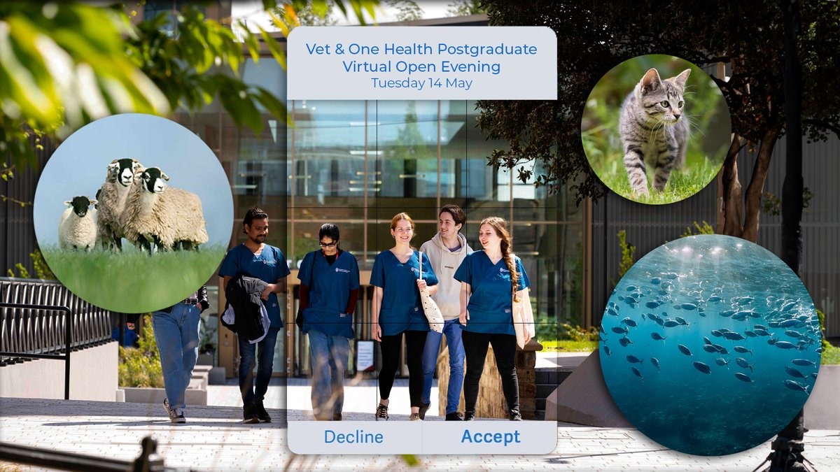 Progress your career through PG study! Our Veterinary &amp; One Health Postgraduate Virtual Open Evening explores flexible, innovative digital education
@UCLanVets
@UCLan
📅 Tue 14 May 📷 6.00pm BST 📷ow.ly/LMC250RnYY3 #VetMed #AnimalWelfare #OneHealth #OneWelfare #VetPhysio