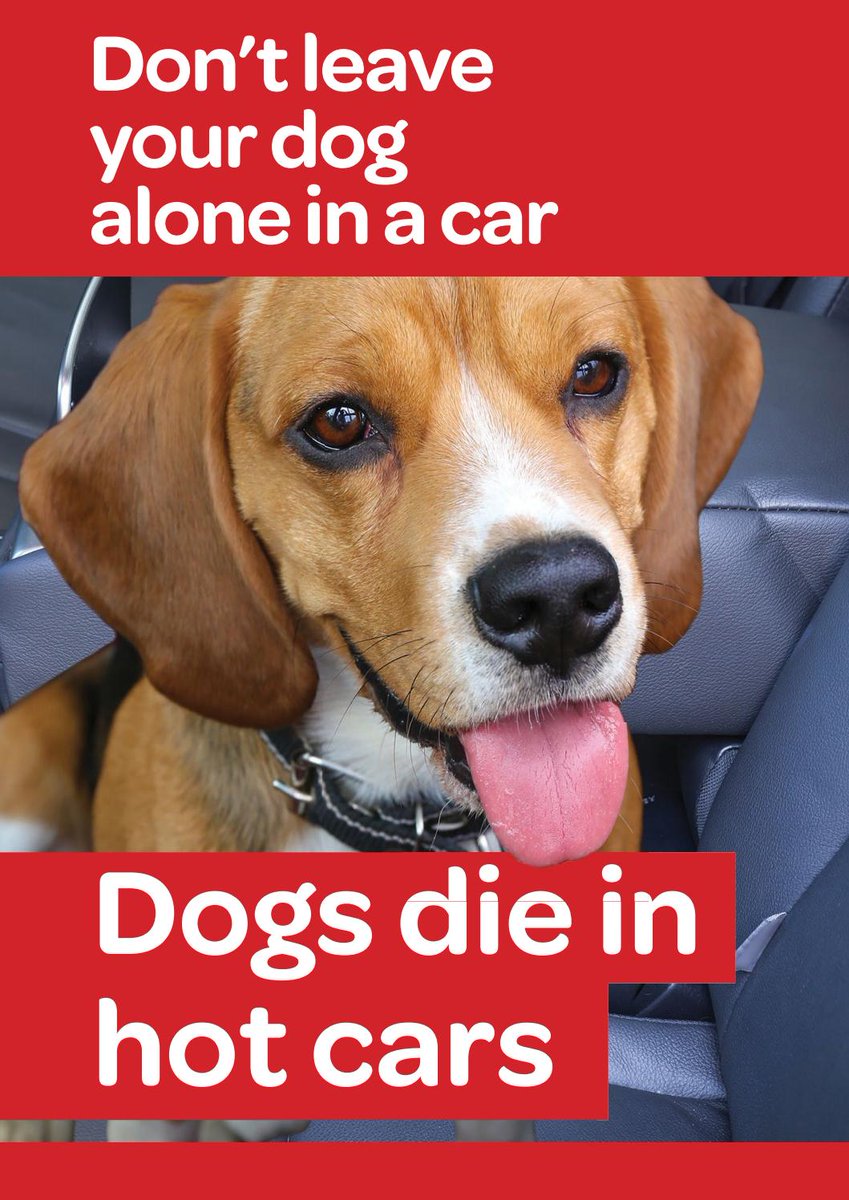 ☀️Don't leave dogs alone in hot cars -in 22C a car can soar to 47C in an hr -leaving a dog in hot car can kill them -leaving a window open isn't enough -if you find any animal suffering in a hot car contact your local council #dogsdieinhotcars ⚠️More info: psni.police.uk/globalassets/a…