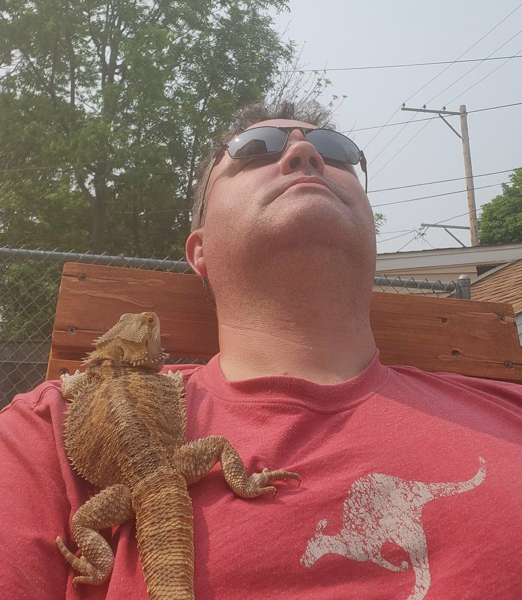RamonEscob89061's tweet photo. 1: You don't have a garden, you have 2 cubic meters of sterile salted soil. 

2: Trim you nails, pigster!

3: bonus pic of you slowing getting cancer from your pallet chair
@stealthygeek https://t.co/NrchUNDwrQ