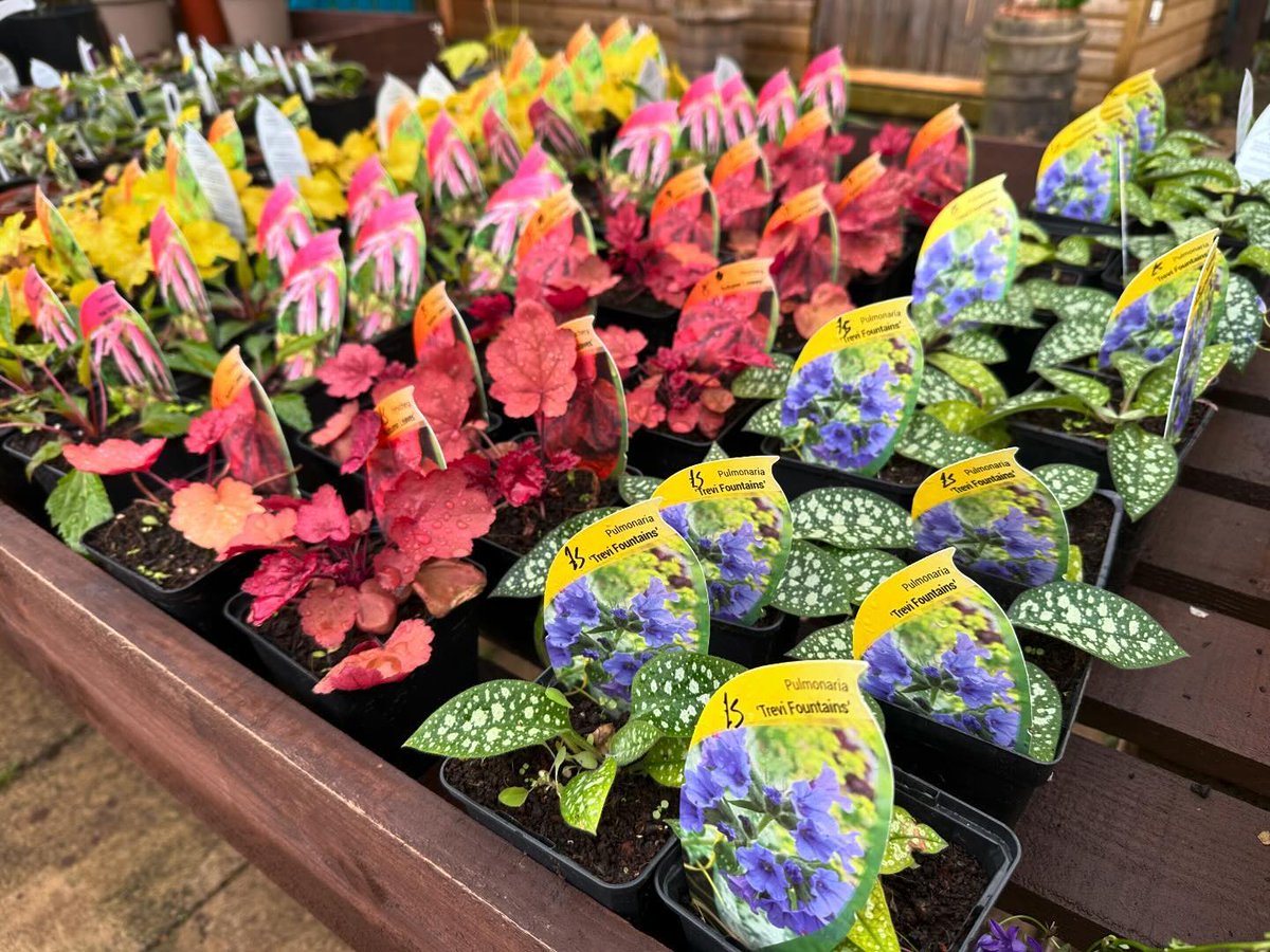 We’re very excited to tell you that after lots of prep work our garden centre will be re-opening every day from 9.30am- 4pm! Until the winter. Payment will be taken in our café and there’s a colourful selection of perennials, herbs and shrubs in stock. #Gardencentre