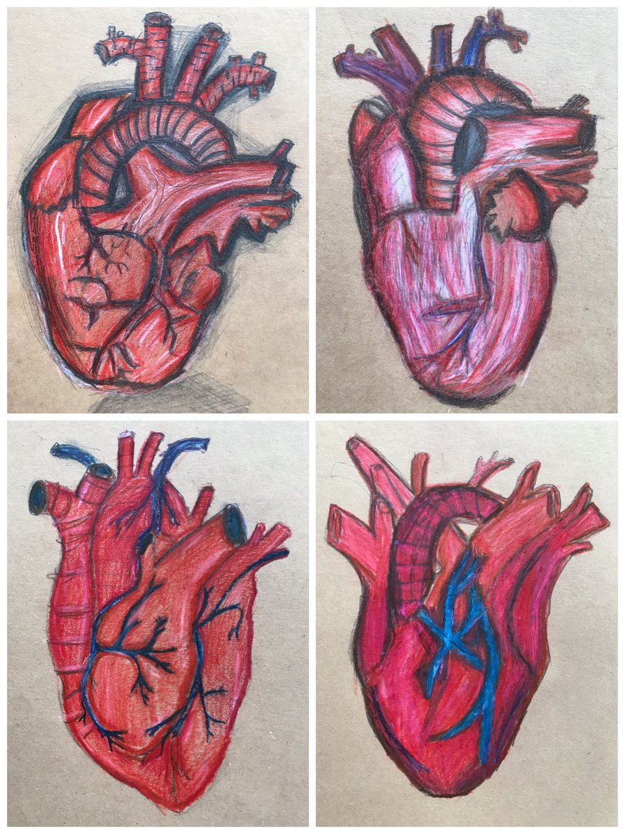 Gomersal Primary Art tweet media