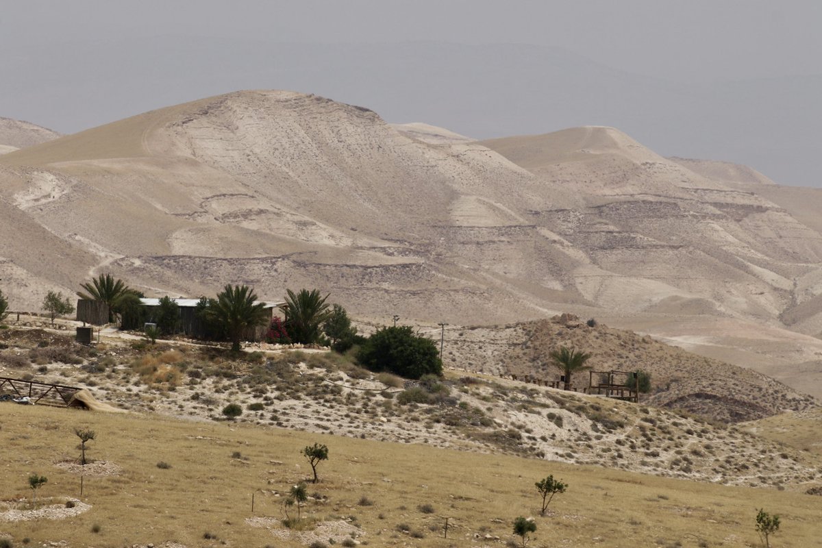The ancient, biblical landscape where the Jerusalem hills drop down to the Dead Sea valley. Goats foraging amid the rocks in the dry, searing heat.
