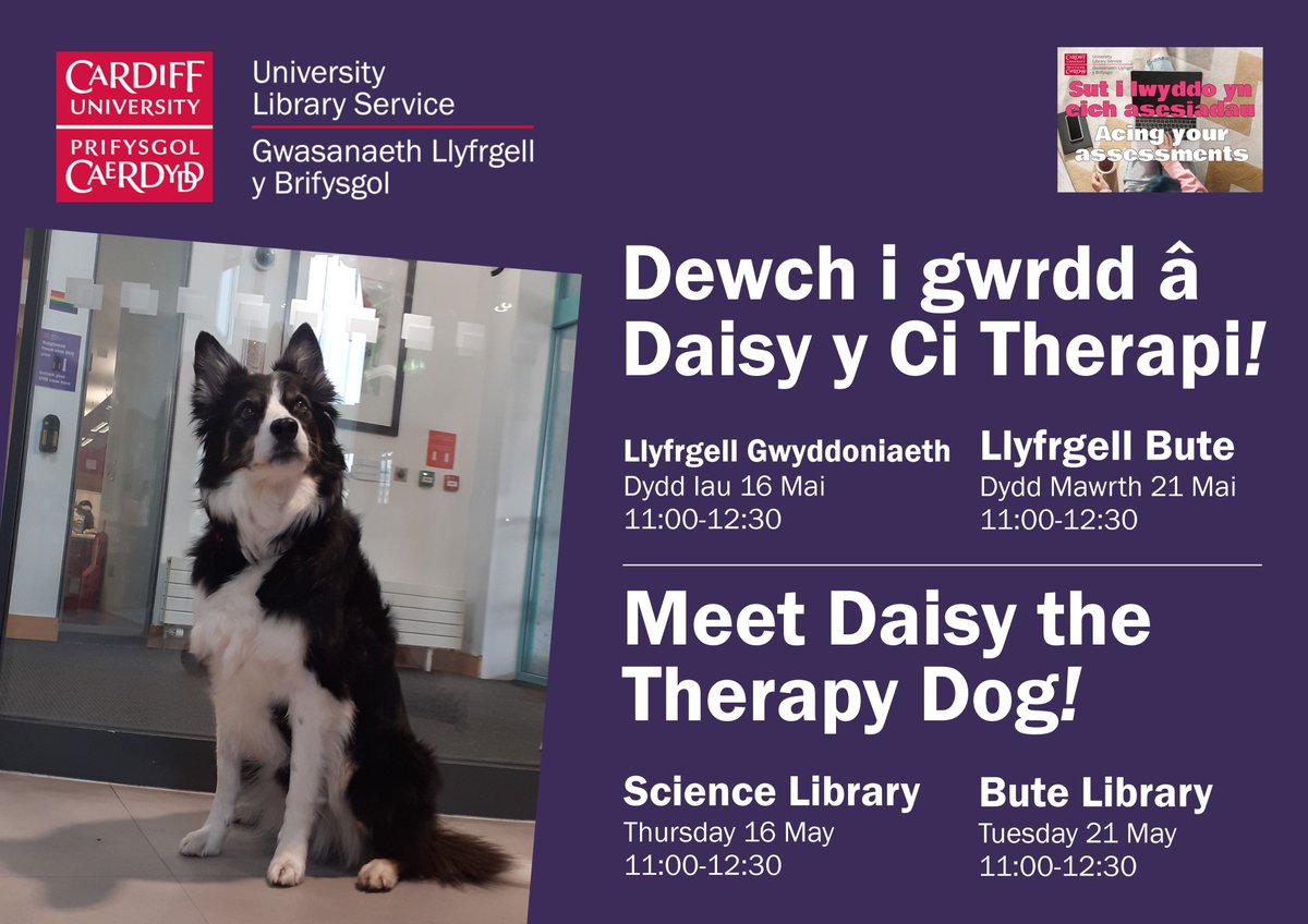 Good news @cardiffstudents - we are throwing more dogs at your problems! The wonderful Daisy, a wellness professional, will be returning by popular demand for group consultations at: 🐶 Science Library, Thurs 16 May 11:00-12:30 🐶 Bute Library, Tues 21 May 11:00-12:30.