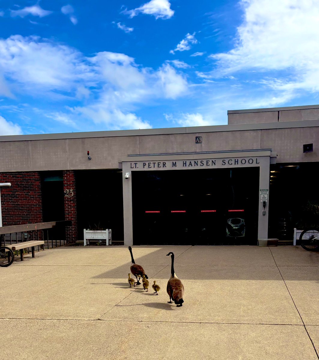 Jaclyn Abrams tweet media