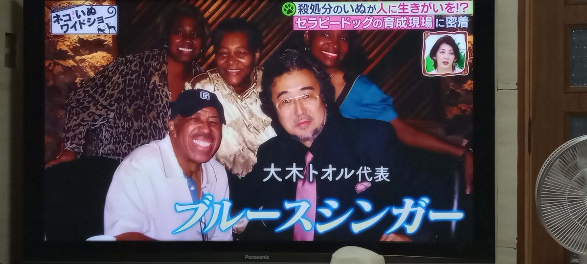 yazawa_syunan's tweet image. #COOLS #大木トオルさん #BLUSE   #ネコいぬワイドショー  #殺処分反対   大木トオルさん! カッコ良すぎます!   凄い! スゴいよ…。 中々、出来ないよ‥   カッケーーーッッ🙀